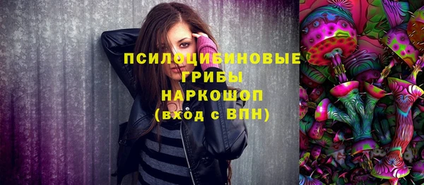 бошки Володарск