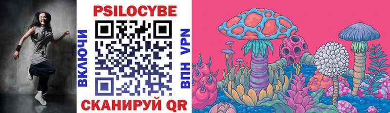 OMG ссылки  где продают   Верхний Уфалей  Псилоцибиновые грибы Psilocybine cubensis 