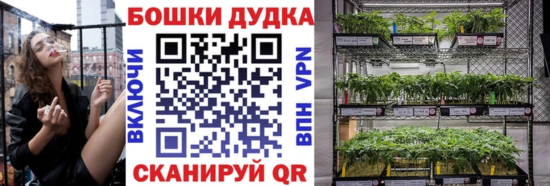 Канабис Amnesia Верхний Уфалей